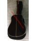 Martin D45v custom shop tree of life inlays acoustic guitar 